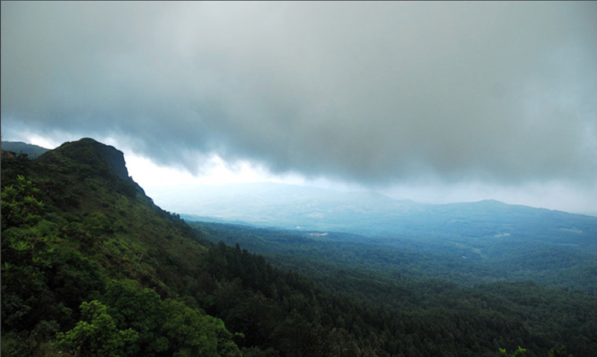 Forest ridge under monsoon clouds, Western Ghats, Karnataka