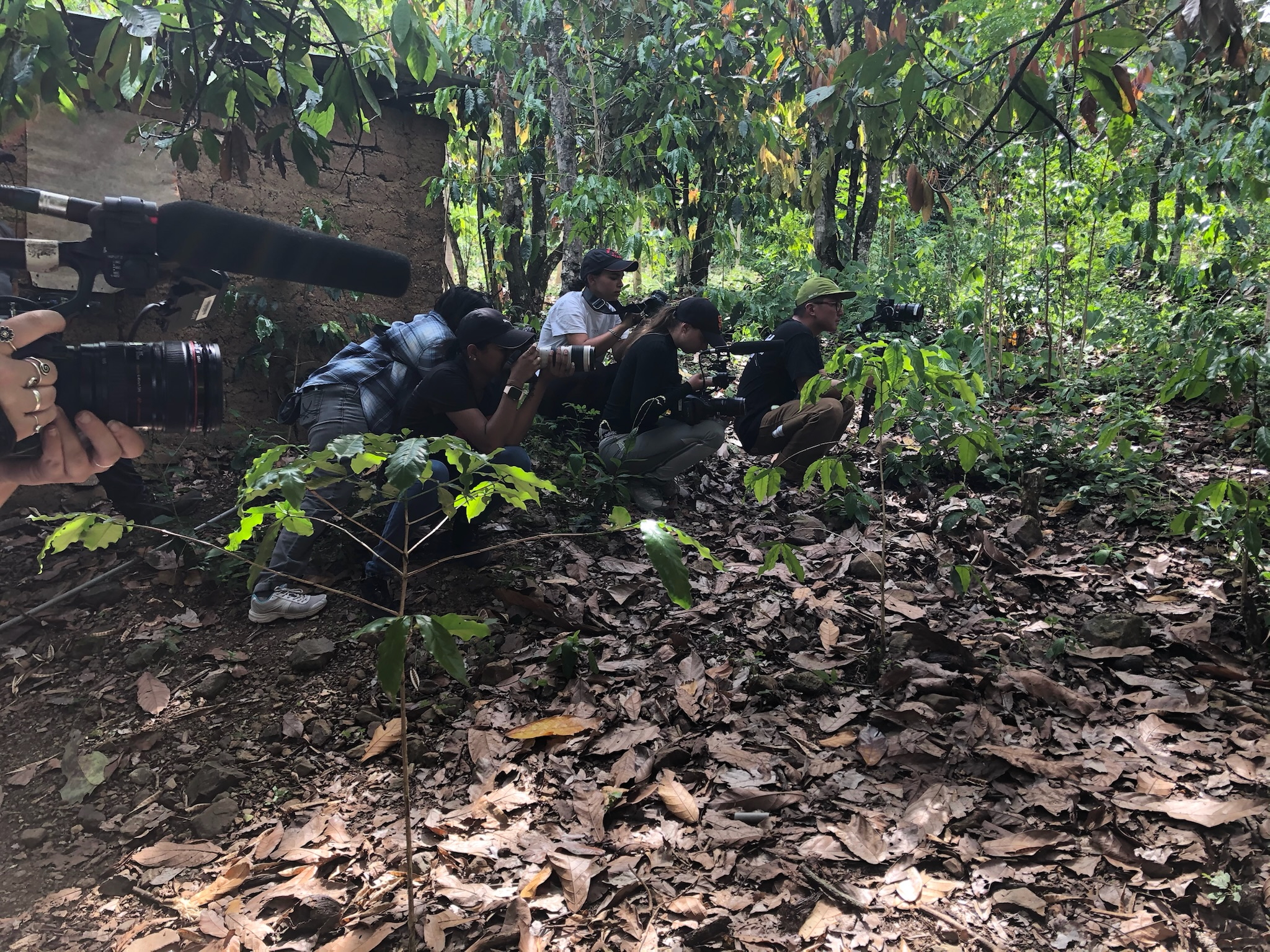 Cohort in the forest, Peru